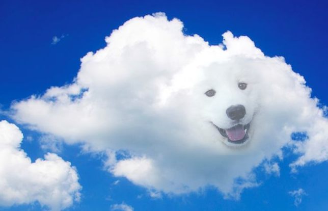 Image of Cloudy Boi