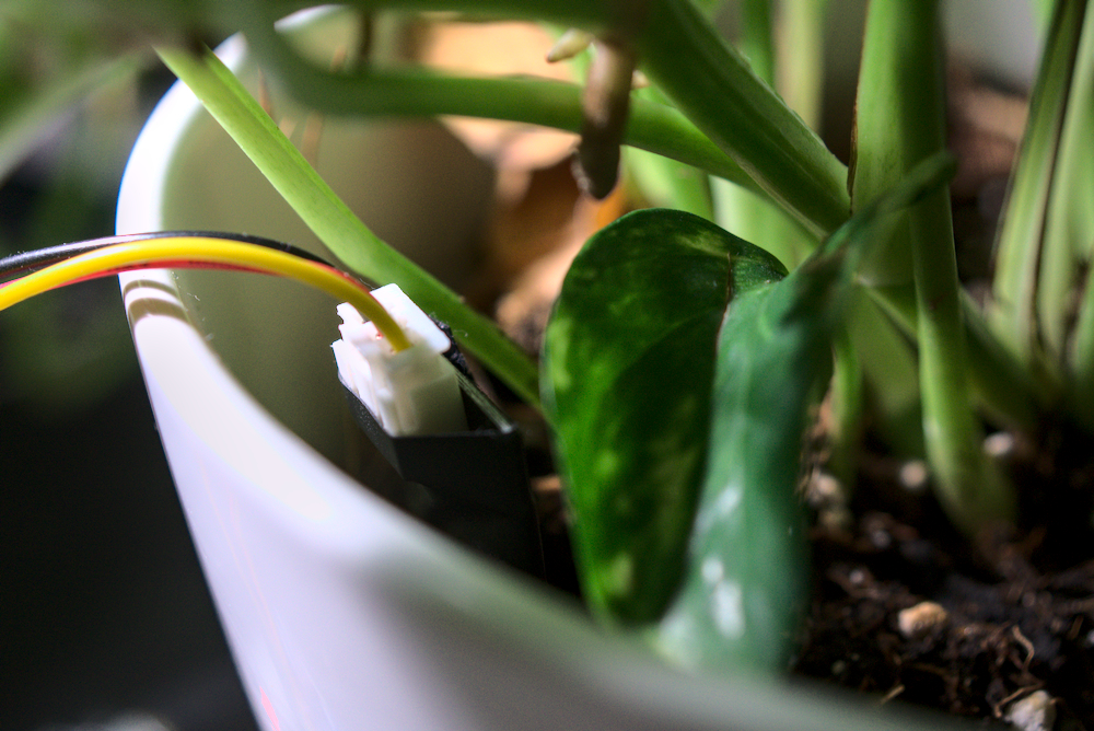 Sensor sticking directly into the plant pot.